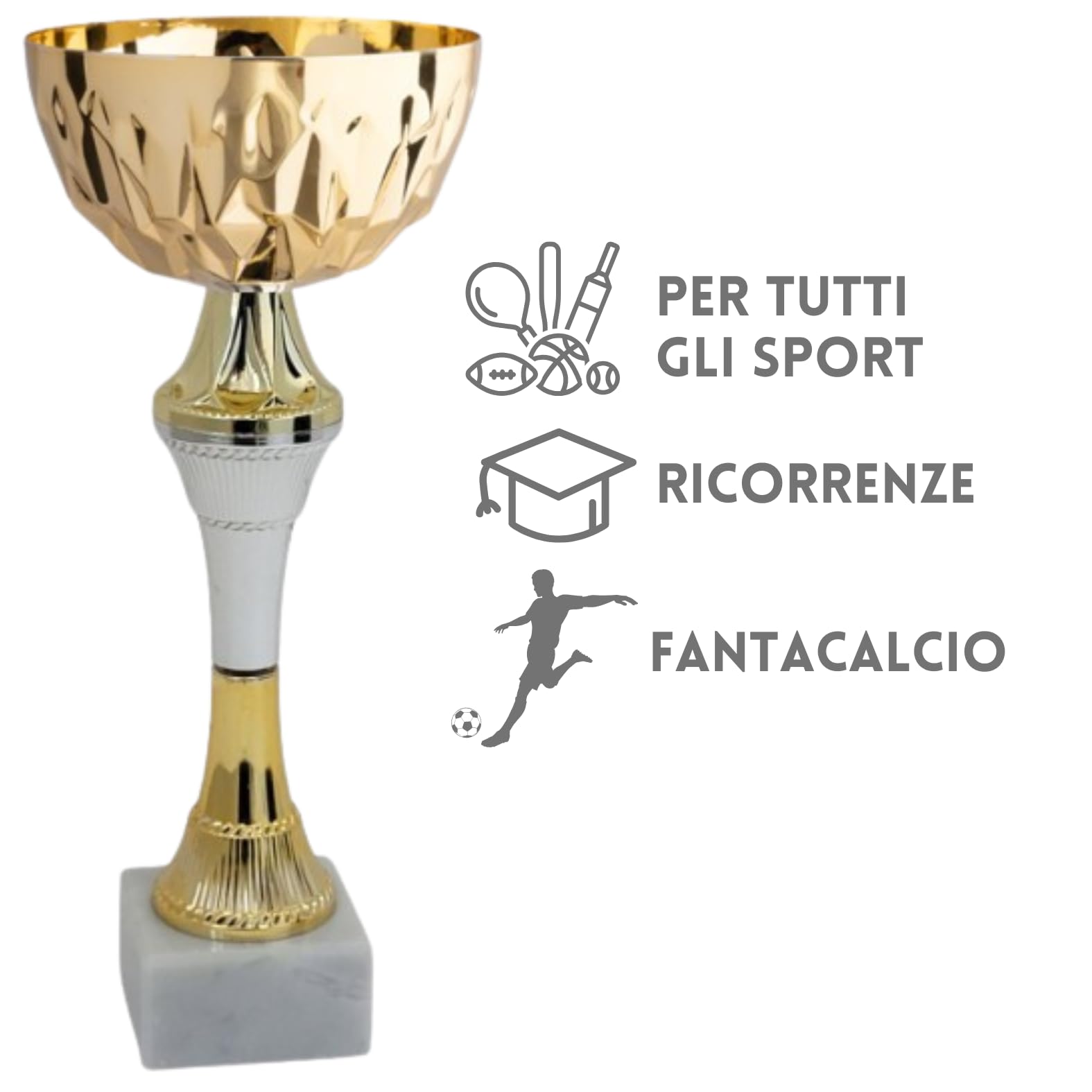 Tris di Premiazioni Personalizzate Economiche Coppe e Trofei Sportivi con Targhetta Inclusa Premio per Tutti Gli Sport e Riconoscimento o Fantacalcio (13.599)
