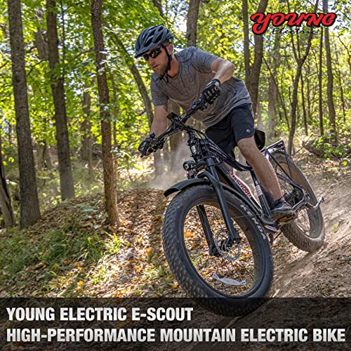 Young Electric Bike E-Scout, 750W Motor 48V 15Ah Lg Battery Up To 60 Miles 28Mph, 26''X4.0'' Fat Tire Mountain Snow Beach Off-Road Adult Ebike (Armor Black) #TOP1