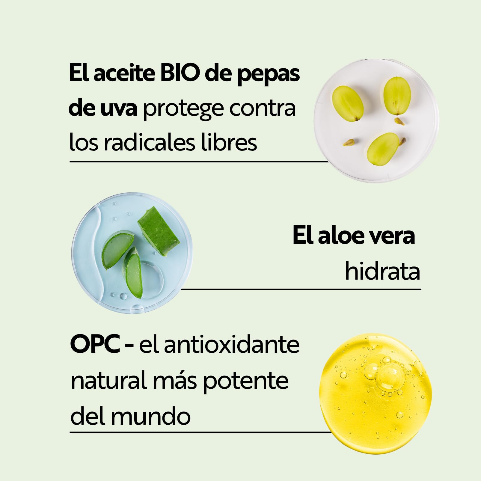 M. Asam VINO GOLD Crema Facial 24h (100 ml) – Crema hidratante facial de día & de noche con Aloe Vera y Aceite de Pepita de Uva Bio, Antiarrugas & reafirmante, Para piel normal a mixta, vegana