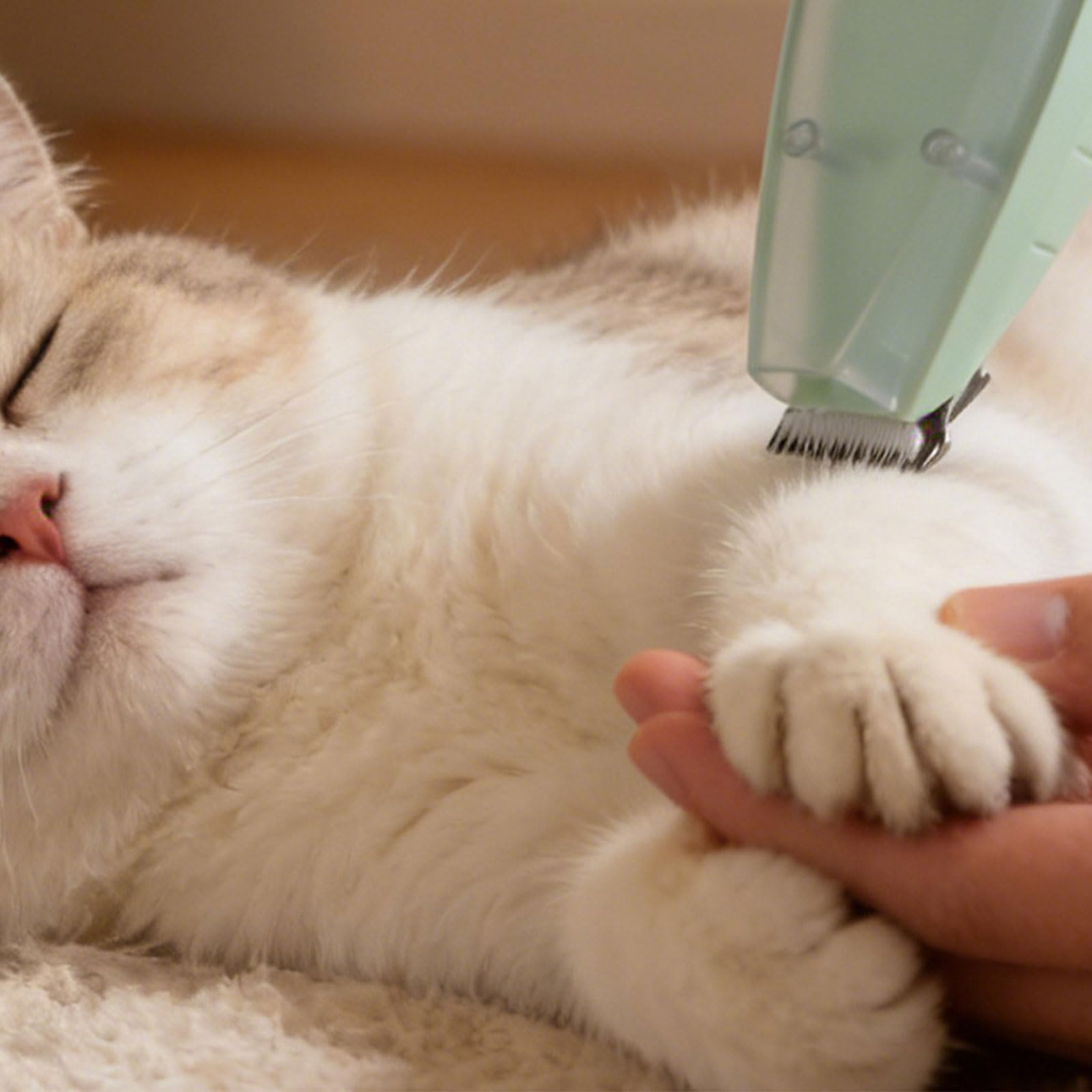 Rifinitore per toelettatura antirumore per cani con, B