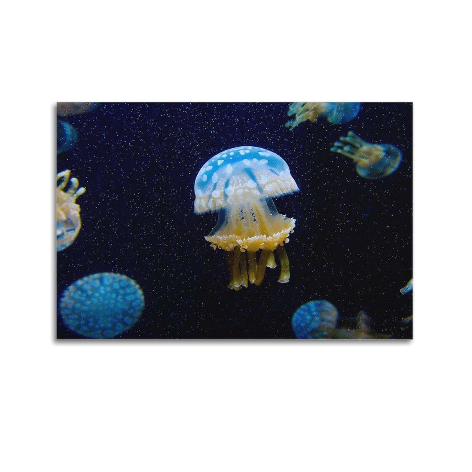 MJZLQN Marine Animal Poster Cannonball Jellyfish on The Seabed Poster Decorative Painting Canvas Wall Posters And Art Picture Print Modern Family Bedroom Decor Posters 24x36inch(60x90cm)
