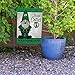 Rico Industries NBA Basketball Celtics Gnome Spring Personalized Garden Flag
