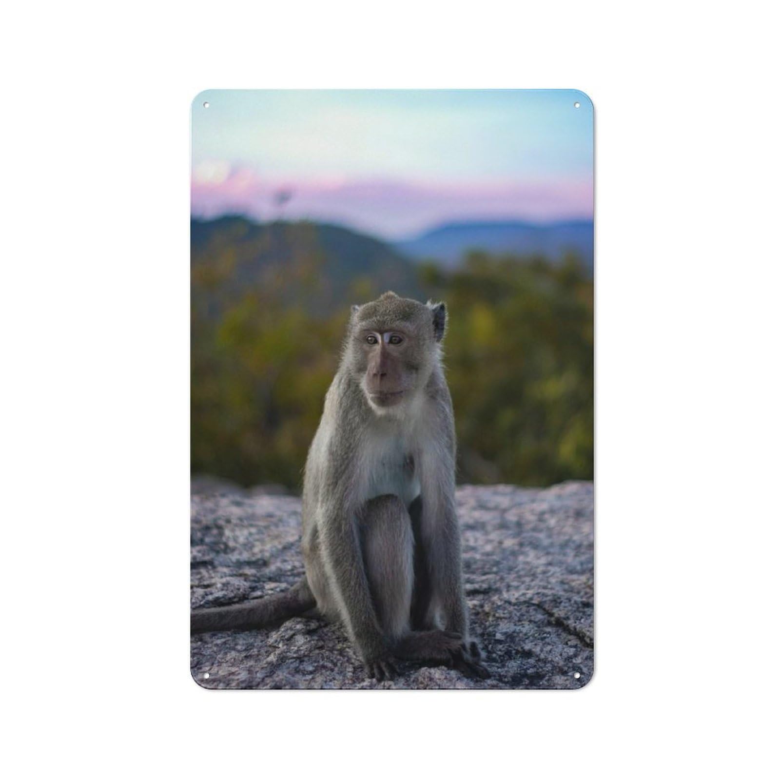 Junmoney Style-12 Cottage Style Monkey On A Mountaintop Country Metal Sign 30X20cm, Farmhouse Wall Decor For Farmhouse Kitchen, Pantry Or Dining Area