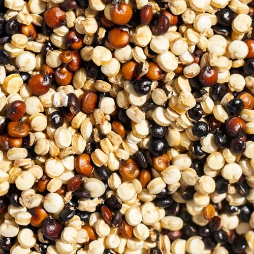 SIMPLi Regenerative Organic Certified Tri-Color Quinoa, 12 OZ (1-Pack) - image 5