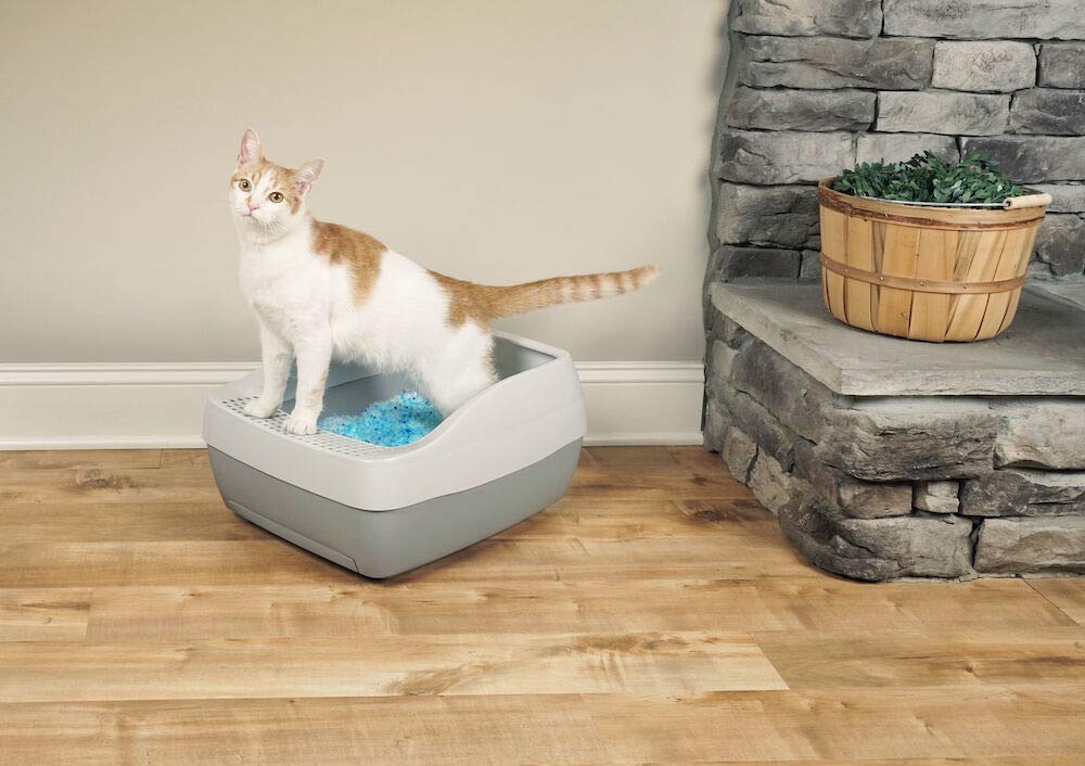 PetSafe Deluxe Katzentoilette mit Kristall-Katzenstreu, Bessere Flüssigkeitsabsorption und Geruchskontrolle, Leichte Reinigung, 1 Stück (1er Pack)