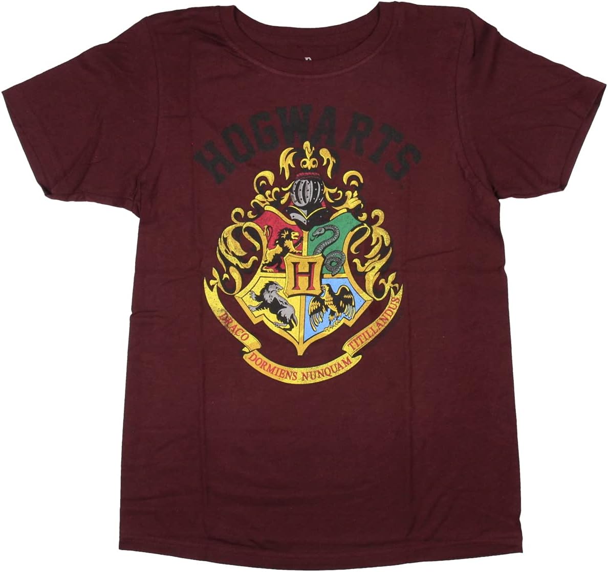 Youth Boys' Harry Potter Hogwarts Crest Short-Sleeve T-Shirt (X-Small)