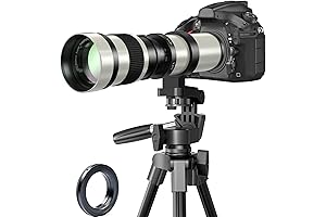 500mm vs 800mm Lens for Wildlife Photography - Which is Right for You?