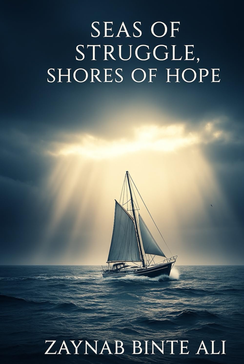 Seas of Struggle, Shores of Hope