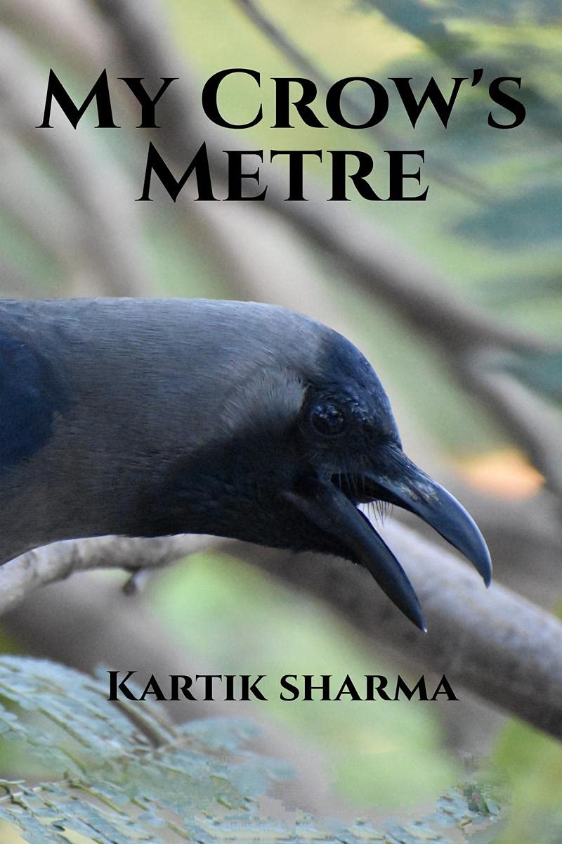 My Crow's Metre