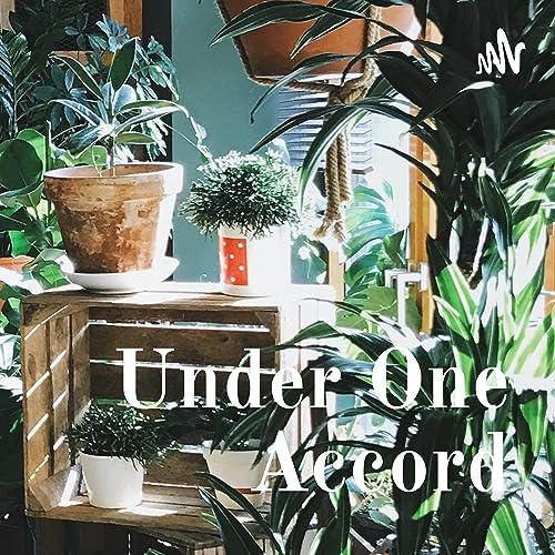 Dear, No One cover art