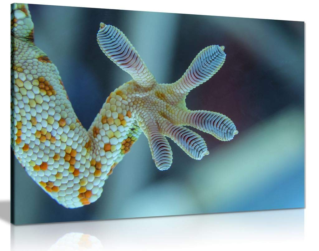 Panther Print Galaxy Stars Cosmic Space Gecko Leg Canvas Wall Art Picture Print (24X16)