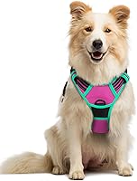 Vista 25 de rabbitgoo Arnés para perro, arnés sin tirones para mascotas con 2 clips para correa, chaleco acolchado suave ajustable para perro, chaleco Oxford