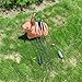 PG1ARCHERY 31-Inch Carbon Arrows Target Practice Hunting Arrow with 5