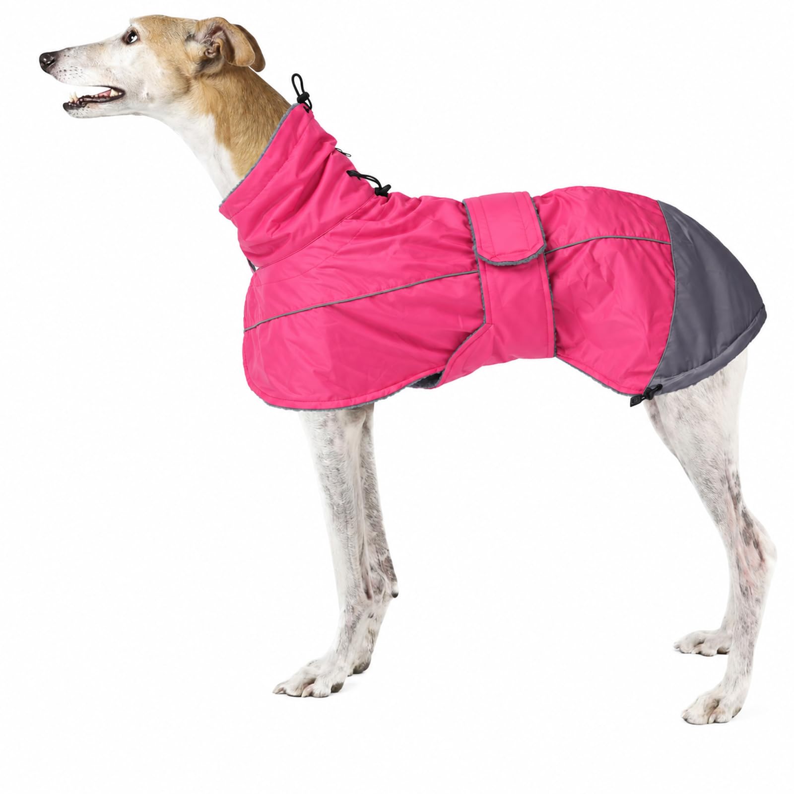 Morezi Greyhound Lurcher Winter Coat, Whippet Jacket with Padded Fleece — image 1