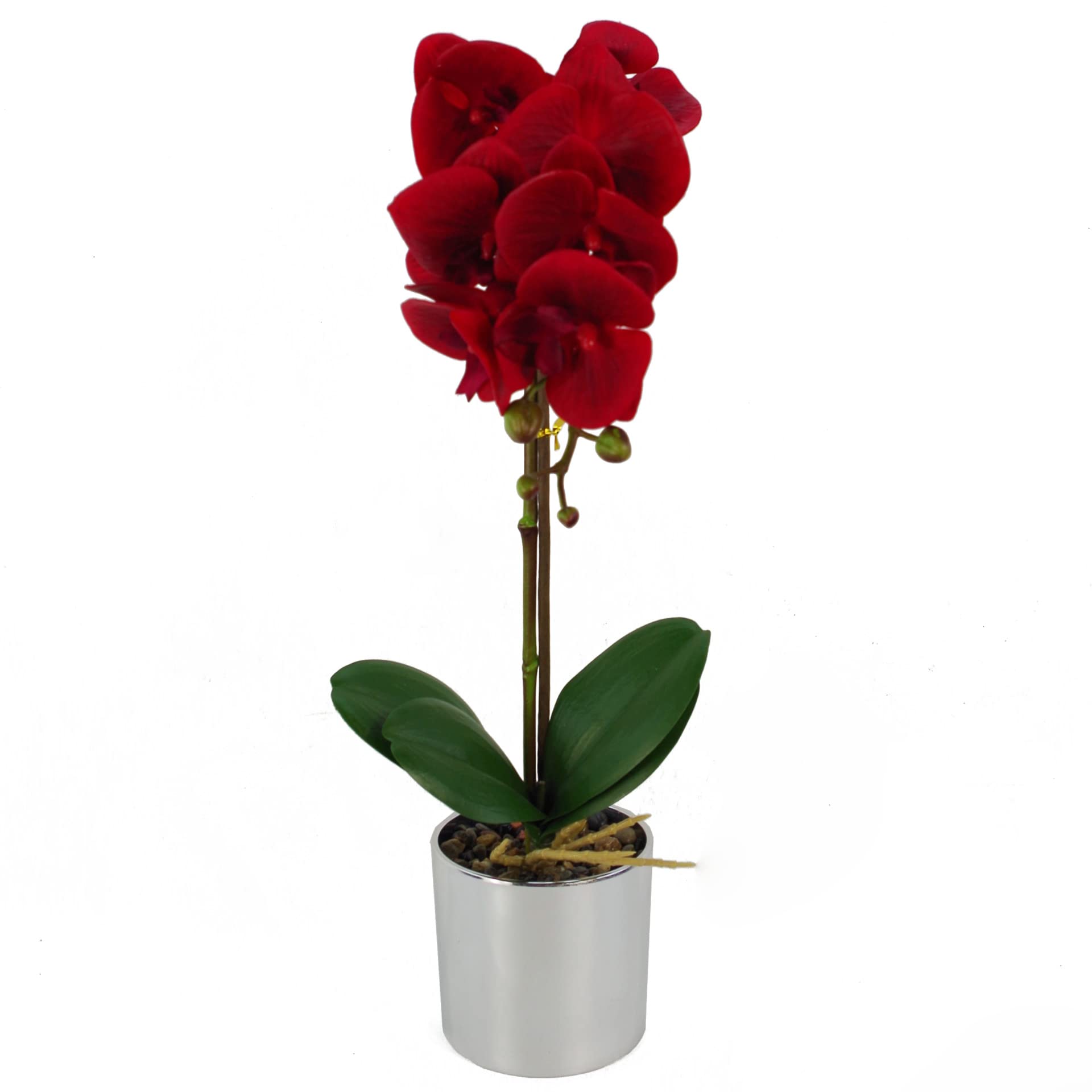 Leaf Design UK Realistic Artificial Orchid Flower Display in Pot