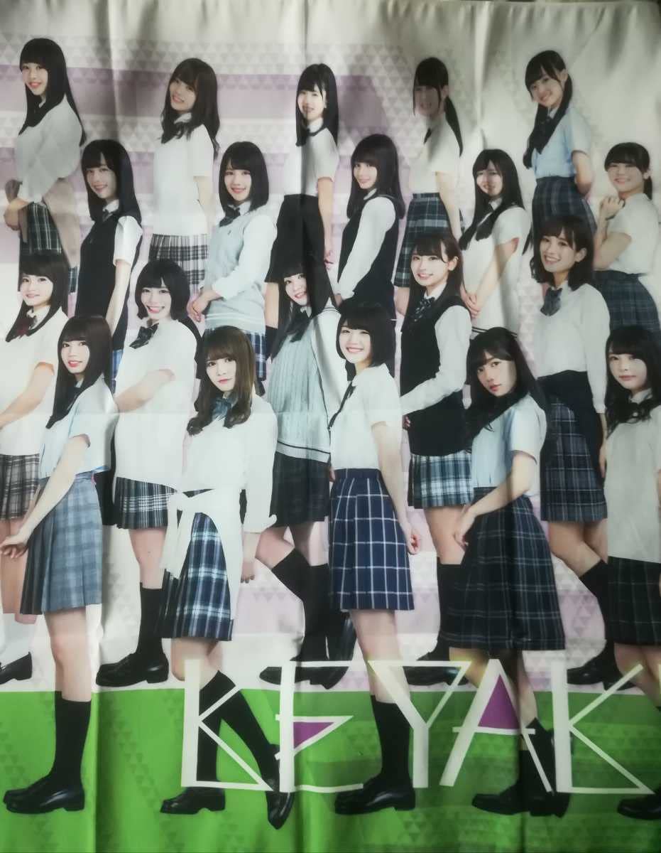 Amazon.co.jp: 欅坂46 ローソン一番くじ ワン賞 応援幕 櫻坂46 日向坂