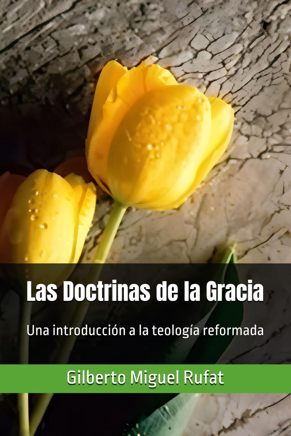 Las Doctrinas de la Gracia: Una introducción a la teología reformada