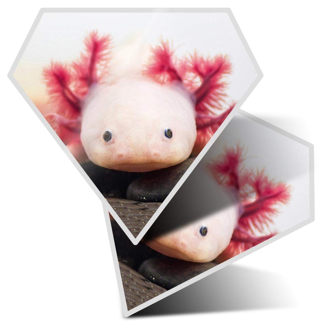 Destination Vinyl Ltd Multi 2 X Diamond Stickers 7.5 Cm - Axolotl Aquarium Dragon Fish Fun Decals For Laptops,Tablets,Luggage,Scrap Booking,Fridges, #3066