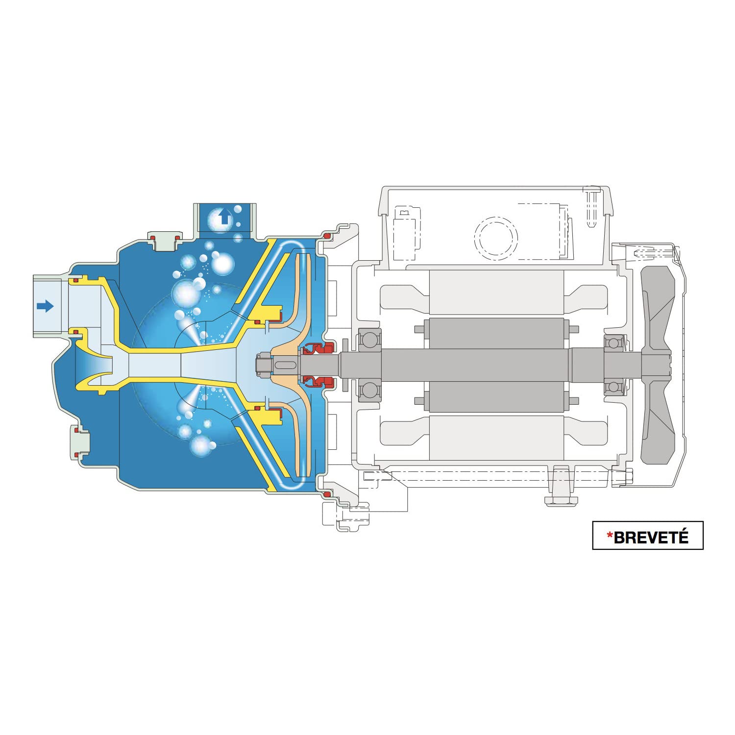 Pompe a eau domestique autoamorçante NGXM416 Calpeda 1,10 KW Inox - Jusqu'à 4,5 M3/H - Monophasé 220V - Approvisionnement en eau - Pomper l'eau - Augmenter la pression de l'eau.