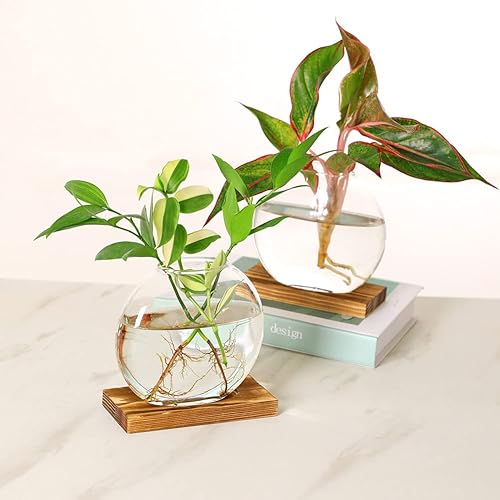 Miniatura 3 de Maceta redonda de vidrio para escritorio, florero de terrario con soporte de madera para propagar plantas hidropónicas, decoración del hogar,
