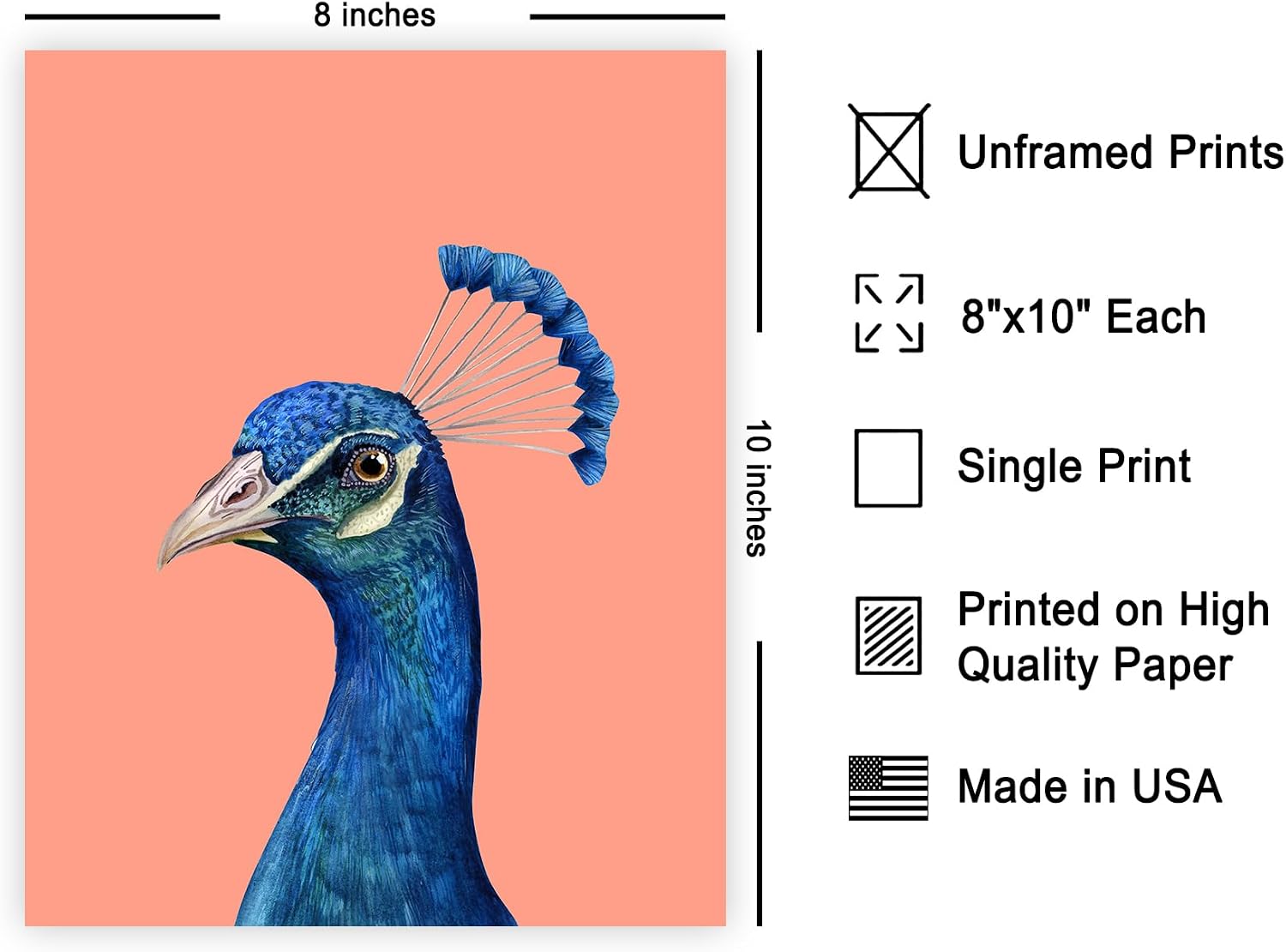 Poster Master Peacock Print - Bird Portrait Poster - Trendy Art - Minimal Wall Design - Gift for Men, Women & Animal Lover - Aesthetic Decor for Dorm, Living Room or Bedroom - 8x10 UNFRAMED Wall Art