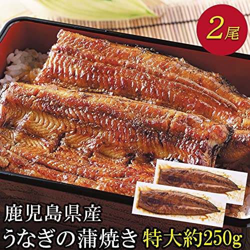 PRAIRIE DOG (プレーリードッグ) 国産 うなぎ 蒲焼 鹿児島県産 (特大約250g×2尾) の商品画像 1
