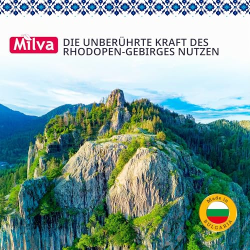 Milva Kiefer-Teer Shampoo gegen Seborrhoische Dermatitis – 500 ml Natürliches Anti-Schuppen Shampoo – Psoriasis Shampoo – Pflege für trockene, juckende und schuppige Kopfhaut