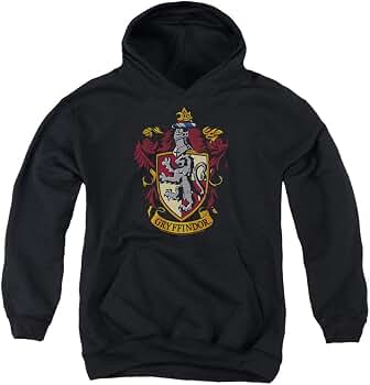 Popfunk Harry Potter Gryffindor Logo Pull-Over Hoodie Sweatshirt for Boys u0026  Stickers (Small) : Clothing, Shoes u0026 Jewelry - Amazon.com