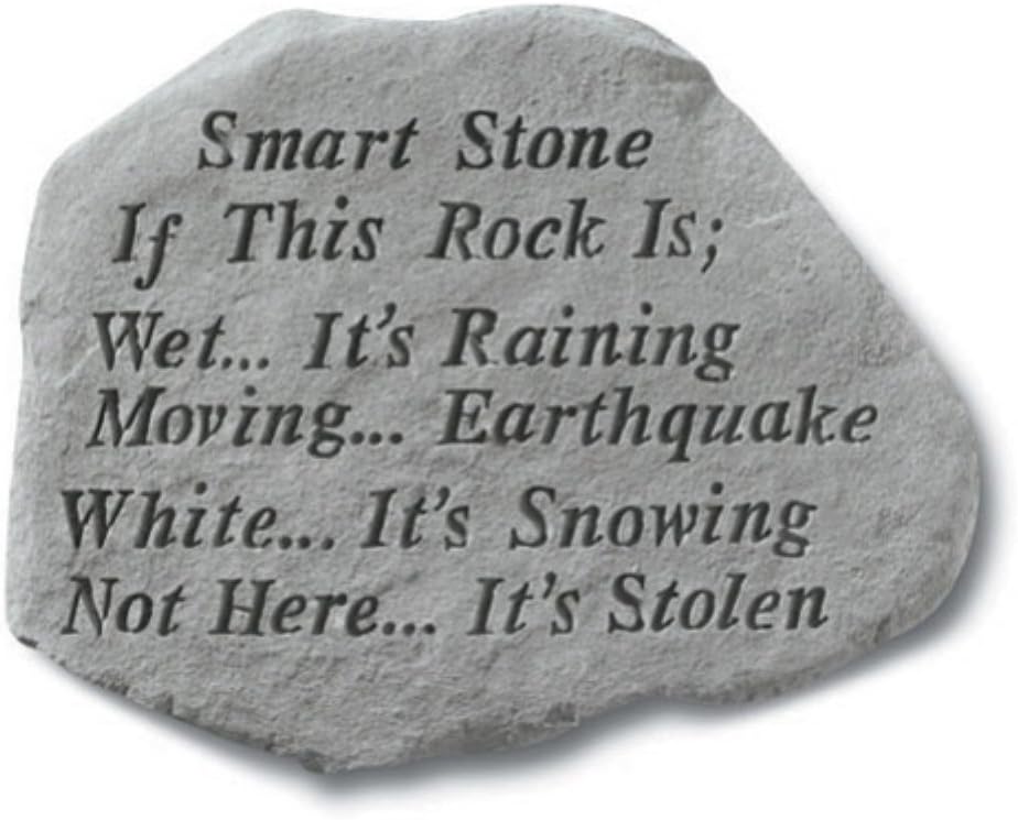Kay Berry Smart Stone If This Rock is Wet It's Raining
