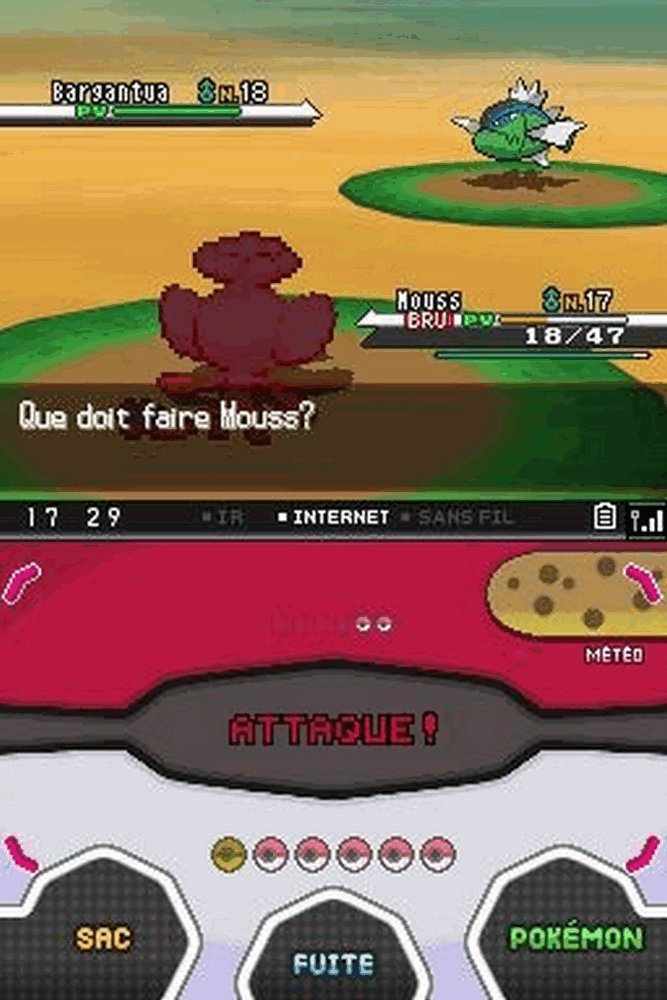 POKMON version noire [Edizione : Francia]