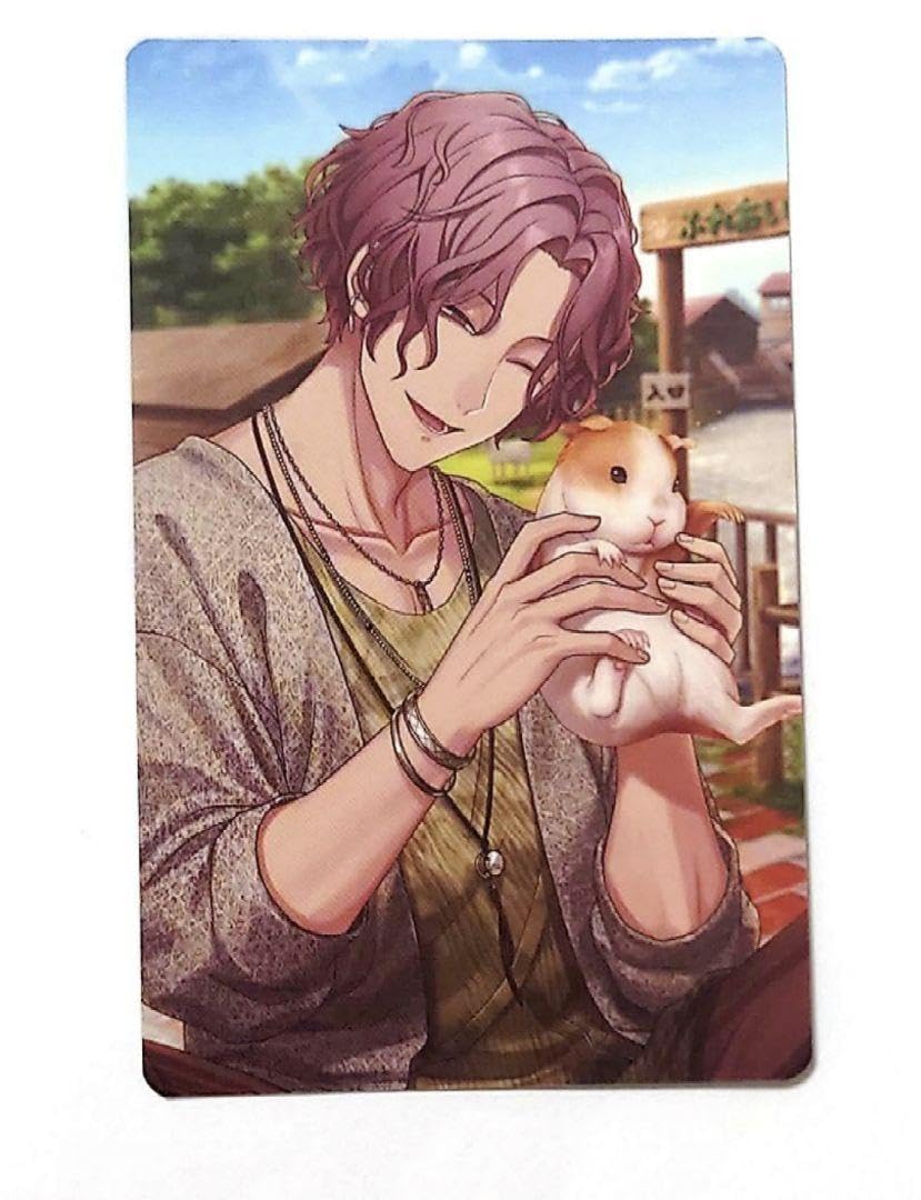 Amazon.co.jp: ブラスタ ビジュアルフォトカード ネコメ 夏私服ver