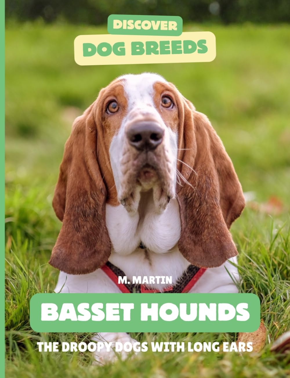 Basset Hounds: The Droopy Dogs With Long Ears (Discover Dog Breeds)