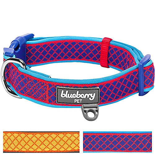 Blueberry Pet 13 Patterns Soft & Comfy Urban Chic Diamond Pattern Neoprene Padded Dog Collar, Red, Medium, Neck 14.5