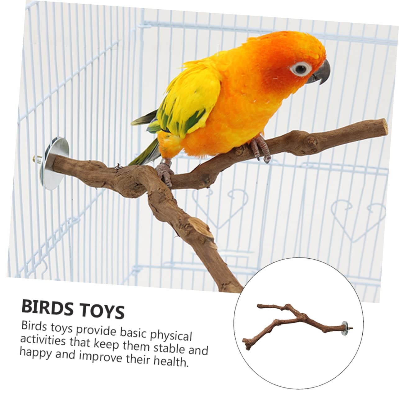 DOITOOL 3stücke Parrot Standing Bar Aus Naturholz Vogelspielzeug Für Käfige Kletterstange Für Papageien Wellensittiche Und Andere Vögel Einfache Installation Langlebig Und Stabil