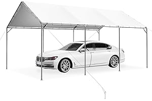 PHI VILLA Canopy Garage 12x20 ft