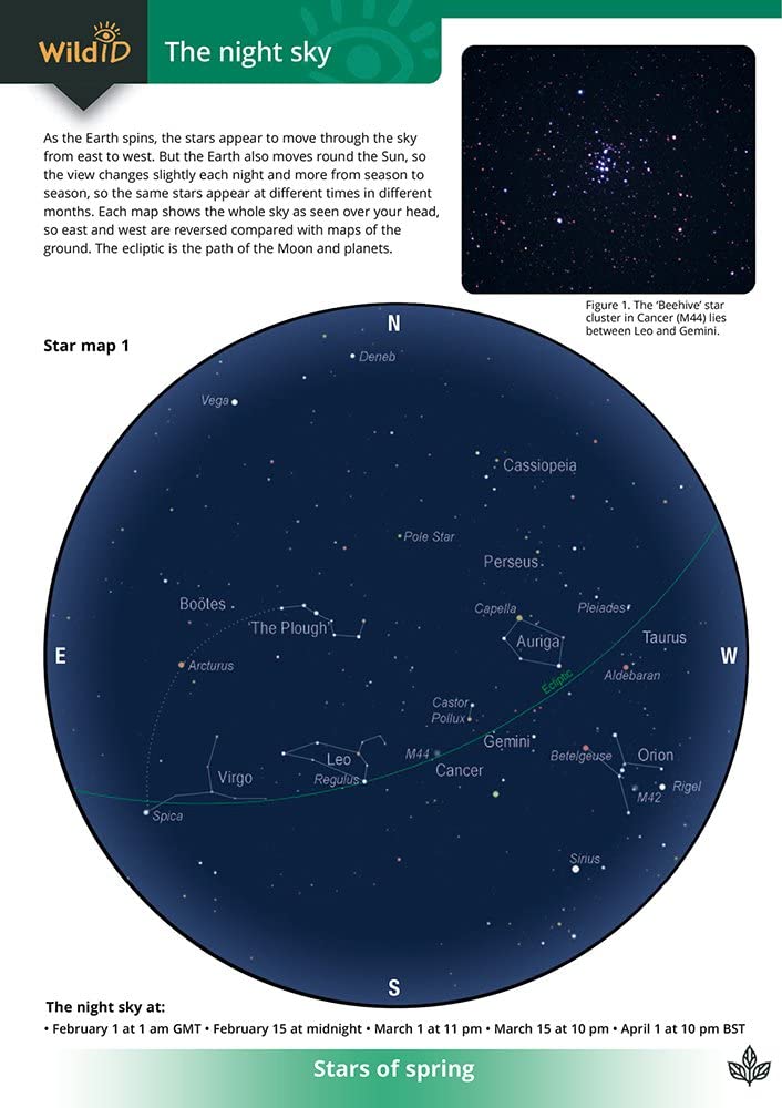 The Night Sky (WildID)
