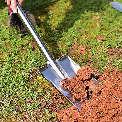 31.5 Inch Flat Head Garden Shovel, D Handle Square Flat Spade Shovel for Gardening, All Stainless Steel Made