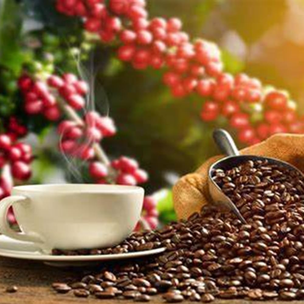 Cafe ARTABRIA 5.0 con Garcinia, Naranja Amarga y Guarana, 30 sobres individuales, Estimula Metabolismo, Aumenta gasto Energetico. Pack Hipnotik Casuality