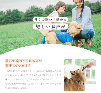 Amazon.co.jp: シンリョウヘルスケア 高濃度水素ゼリー犬用 31本