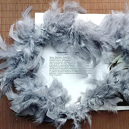 ORGEFY 2M Fluffy Ruff Feather Boas 40g DIY Federboa Weihnachtskostüm Karneval Zubehör Federboa-Grau,2M