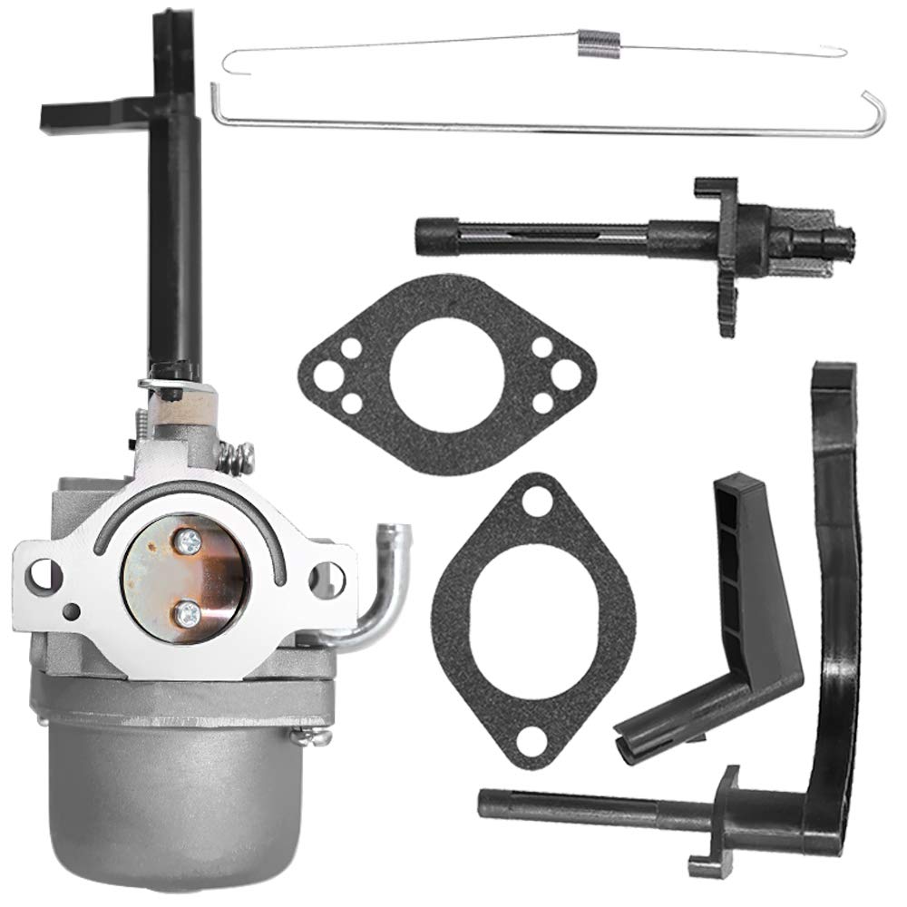 Buy Hoypeyfiy Carburetor For Coleman Powermate 5000 6250 Watts 5000W