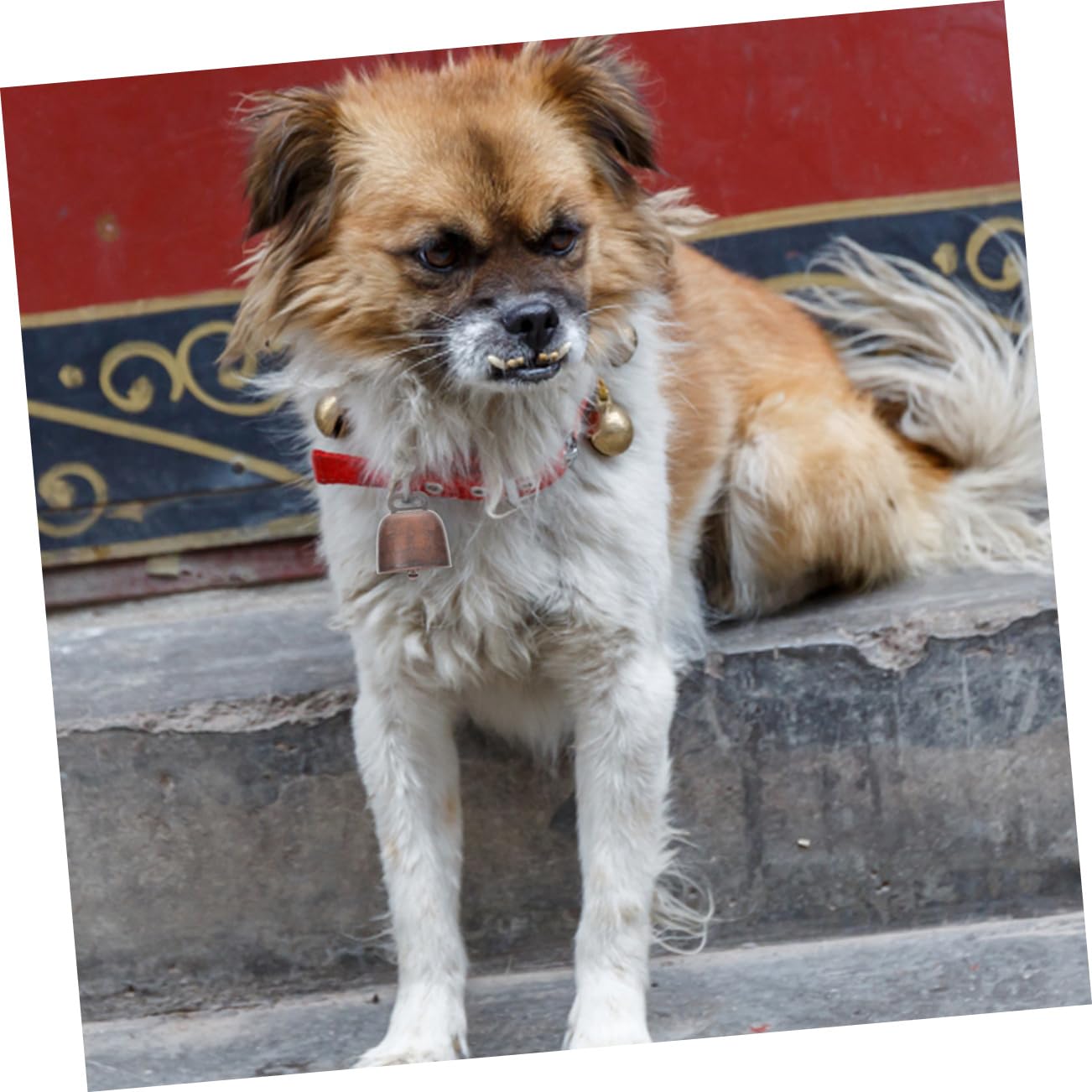 Campanelli Per Animali E Escursionismo - 4 Pezzi Con Moschettone, Design Retrò E Funzione Silenzioso - Foto 9