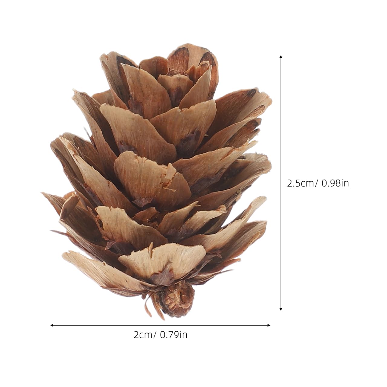 IMIKEYA 450 Stück Mini Tannenzapfen 1-2cm Weihnachten Tannenzapfen Ornamente hängende Weihnachtsdekorationen für Weihnachtsbaum Party Dekoration DIY Projekte