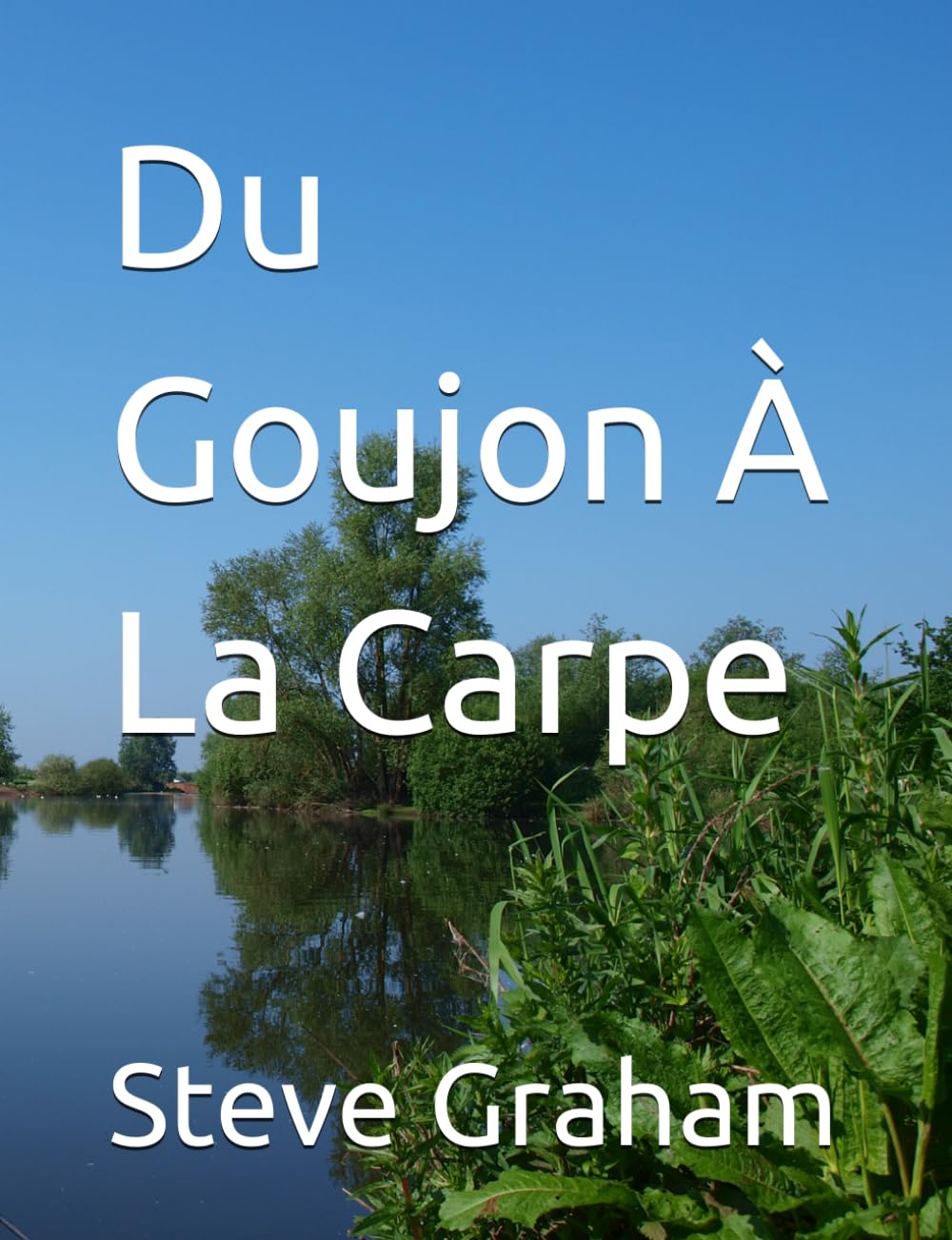 Du Goujon À La Carpe