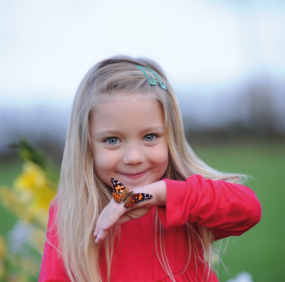 Insect Lore Gutschein Set: Schmetterlingszucht für Kinder & Erwachsene – Schmetterlingsgarten ohne lebende Raupen - Heimische Arten | Raupen züchten - Schmetterlingshabitat für zu Hause ab 3 Jahren