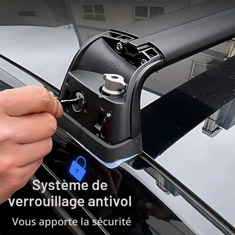 Barres de Toit transversales Haut de Gamme compatibles pour Tesla Model 3/Y 2017-2024, Galerie de Toit Haute capacité pour Coffre de Toit et Porte-vélo