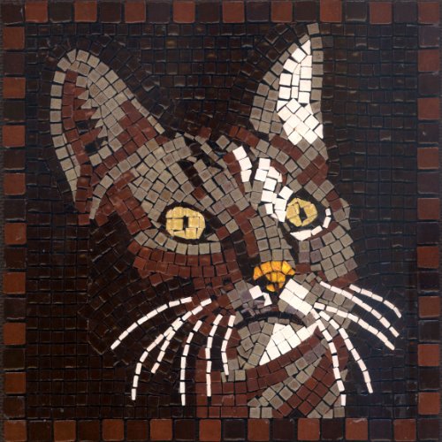 Kit Mosaico fai da te, 20x20cm, Gatto