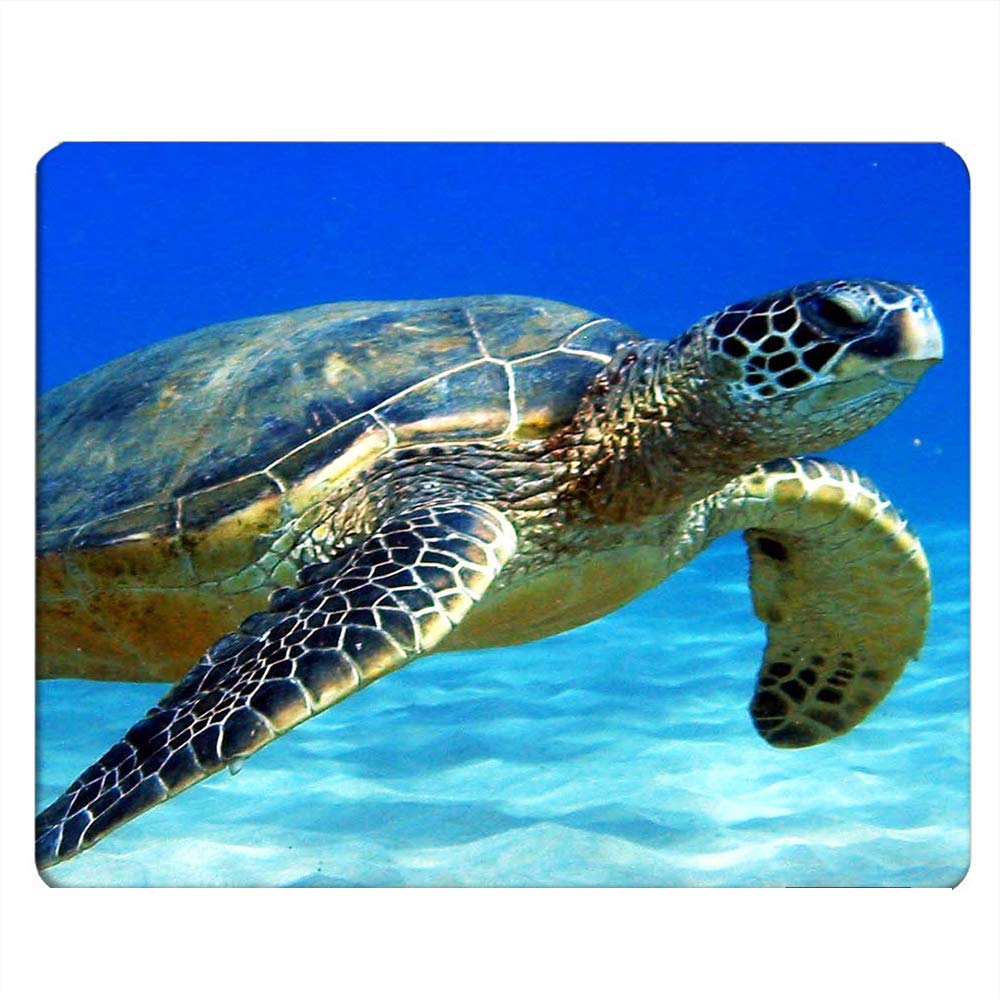 Turtle Gaming Mousepad Sea Turtle Sea World Blue Ocean Mouse Pad Mouse Mat for Computer Desk Laptop Office 9.5 X 7.9 Inch Non-Slip Rubber