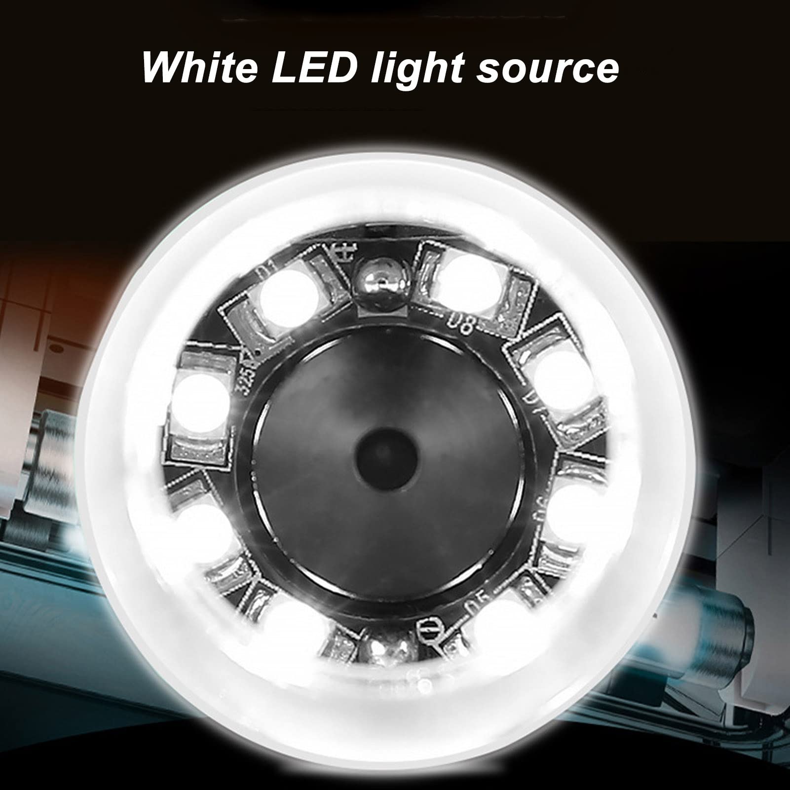 Detector de Cuero Cabelludo, Detector de Cuero Cabelludo 800X con Luz LED Blanca, Cámara Portátil de 2MP, Diagnóstico de Piel, Analizador de Cabello para el Crecimiento del Cabello