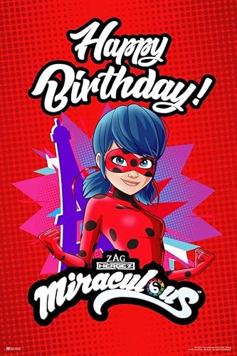 Cartel de feliz cumpleaños de mariquita milagrosa, decoración de fiesta, gato negro, serie de televisión de dibujos animados, película mariquita